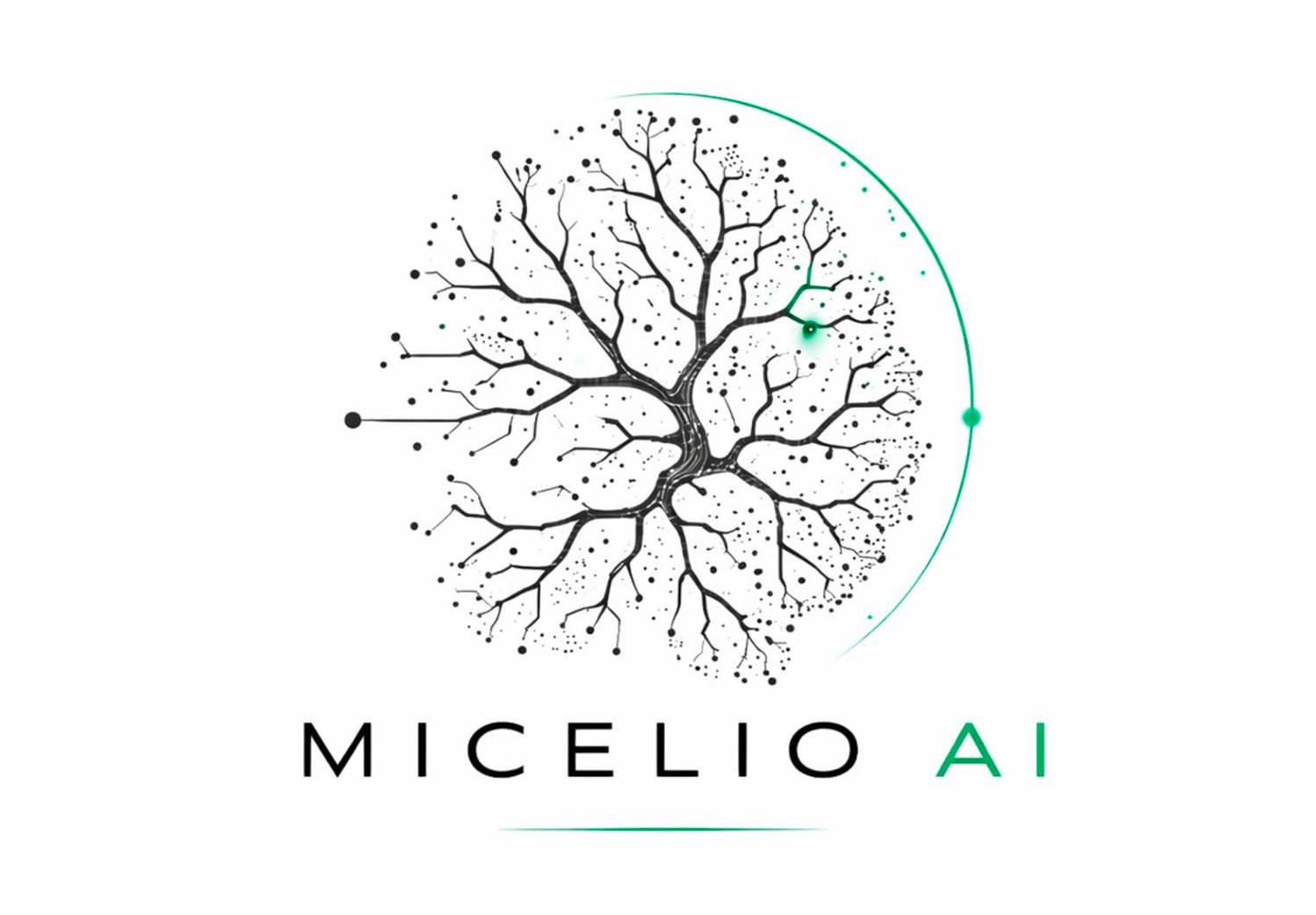 Micelio AI